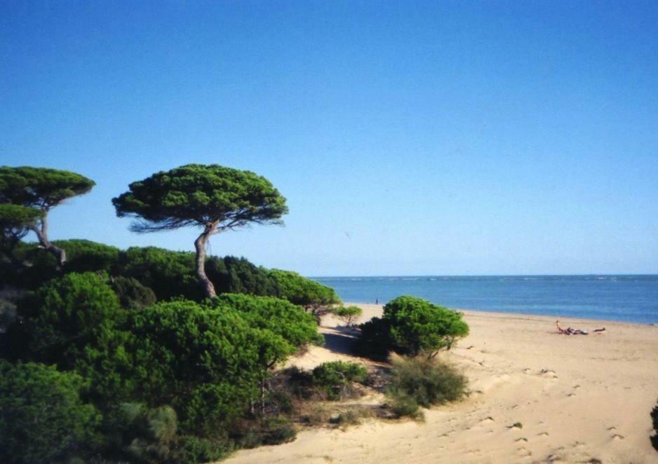 Atico Del Portil Apartment ภายนอก รูปภาพ